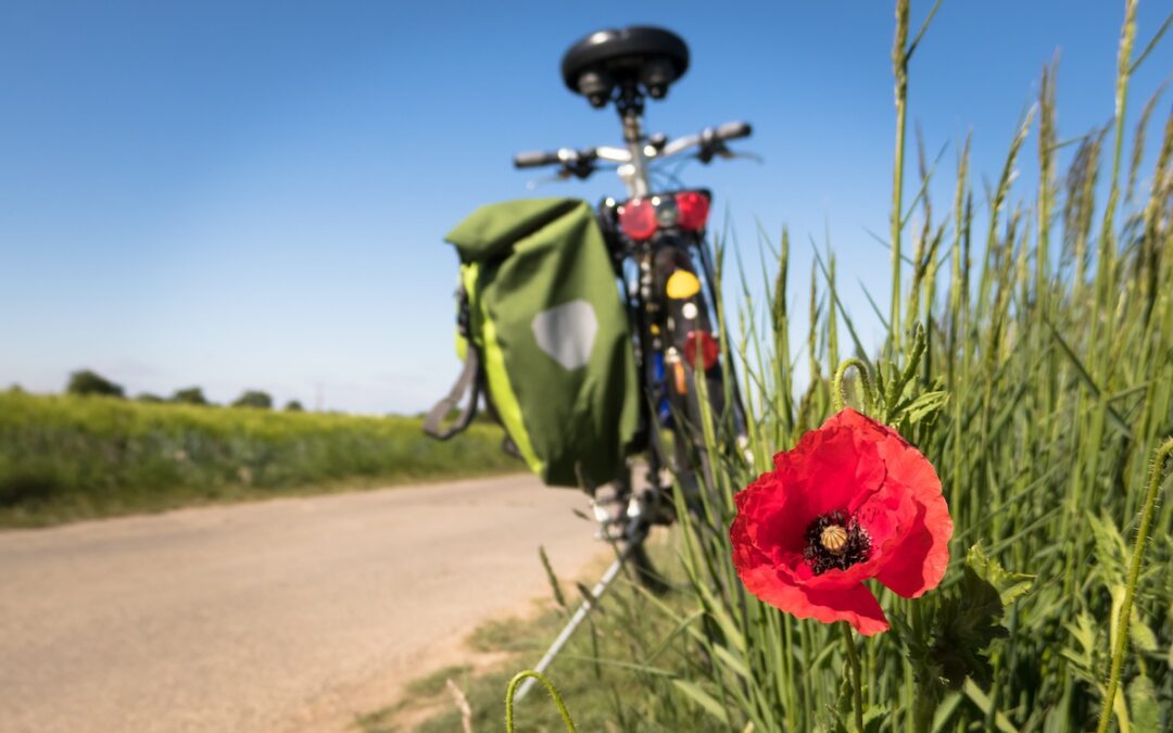 Soutien financier de l’Etat pour la création d’une nouvelle continuité cyclable franchissant la Loire